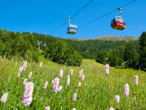 Hochzeiger Sommer